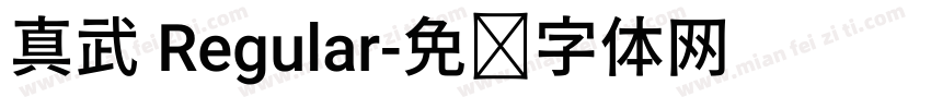 真武 Regular字体转换